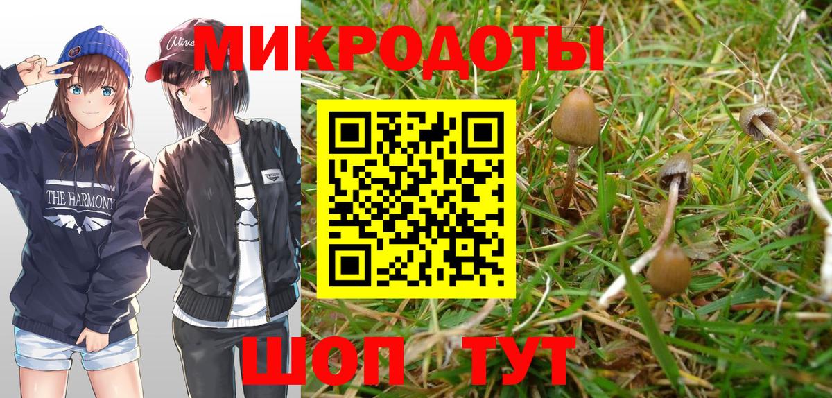 Заволжье  Галлюциногенные грибы Magic Shrooms  Вход с VPN 